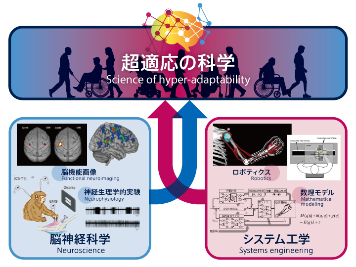 Science of hyper-adaptability