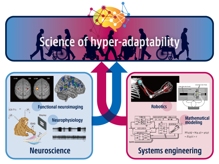 Science of hyper-adaptability